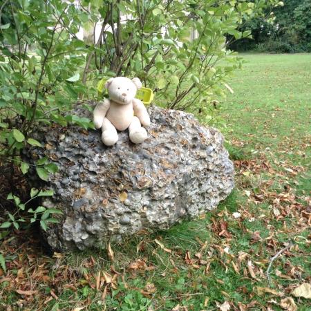 Teddy Bears Picnic
